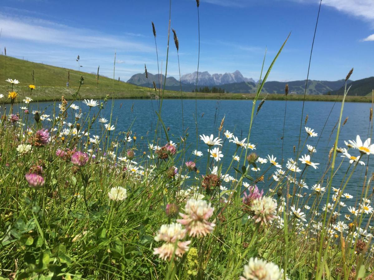 Am Zwoelferkogel Appartements Saalbach-Hinterglemm Bagian luar foto