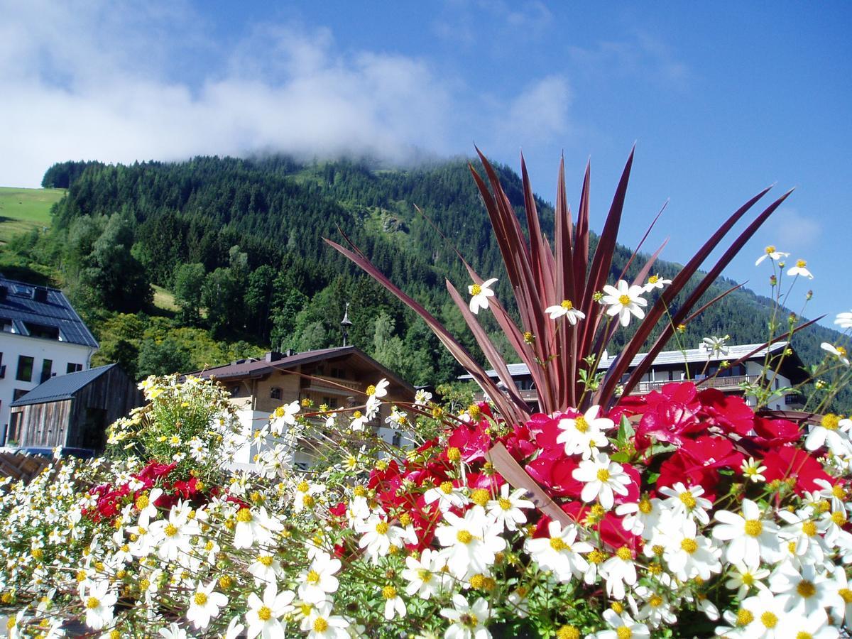 Am Zwoelferkogel Appartements Saalbach-Hinterglemm Bagian luar foto