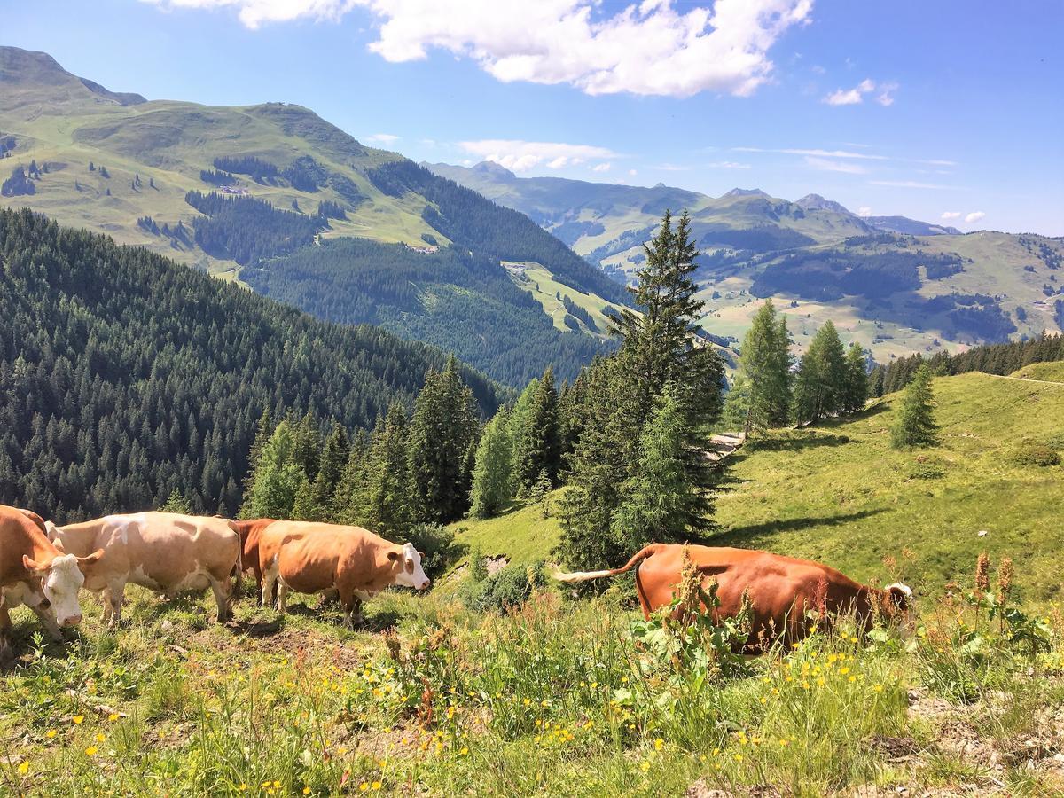 Am Zwoelferkogel Appartements Saalbach-Hinterglemm Bagian luar foto